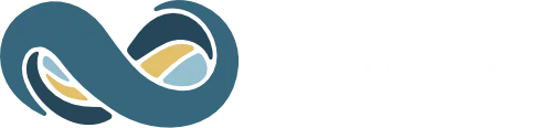 NetSuite Implementation Services